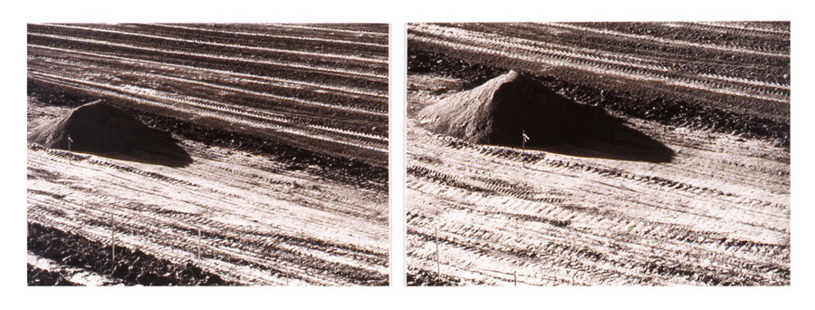 Earth-Scan Study #14, 1980