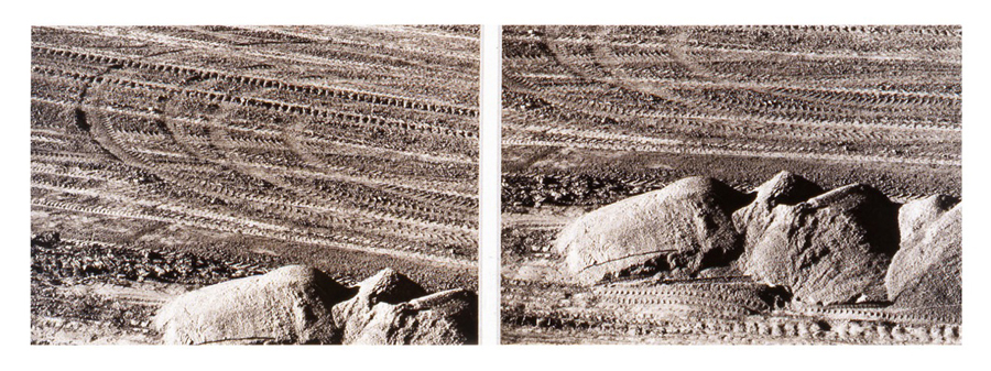 Earth-Scan Study #11, 1980
