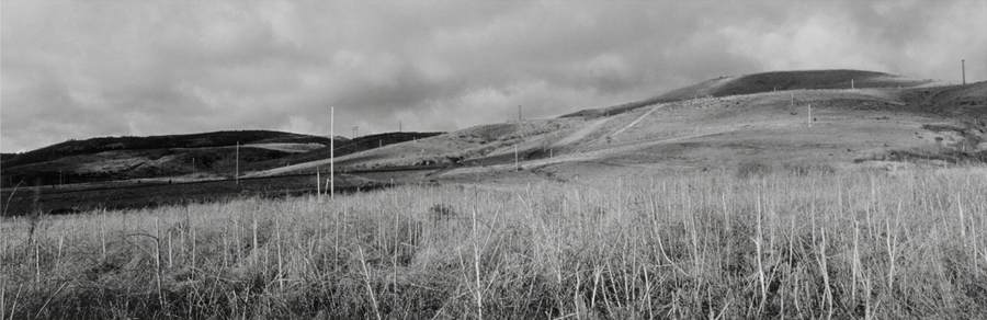 Periphery #7, Crystal Cove, CA, 1993