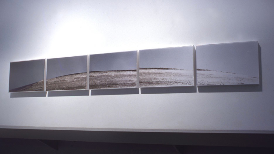 Duration Place Study, 1982